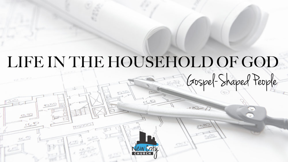 1 & 2 Timothy: Life in the Household of God—Gospel-Shaped People